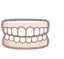 Prótesis Dental